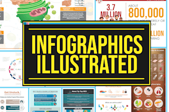 design original infographic with custom illustration