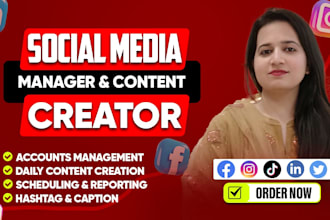 be your social media manager and content creator