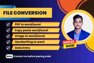 convert pdf, pdf to excel, data entry typing work job