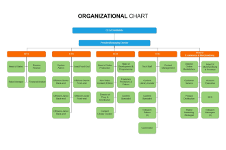 create professional org charts or organizational structure