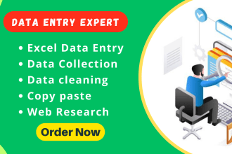 do data entry, data cleaning, web research, copy paste and excel data entry