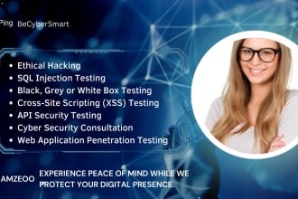 pentest your website for vulnerability assessment web pen test, solidity testing