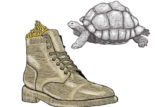 do custom illustrations, free hand drawing, services