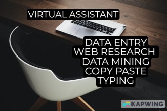 do any type of data entry and website research work