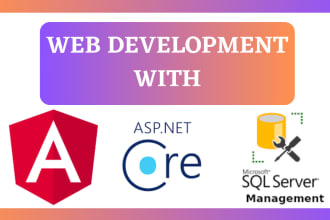 develop asp dot net, dot net core, abp, angular web application