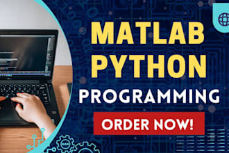 do your matlab programming and python programming projects