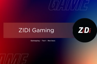 do professional game testing and review on client demand
