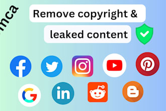 remove copyright and leaked content under dmca