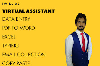 fastest data entry in low price