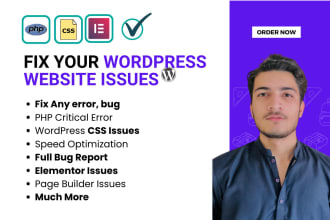 fix wordpress issues, elementor, woocommerce errors, and bugs