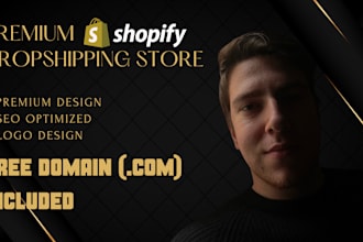 create a premium dropshipping shopify store, website