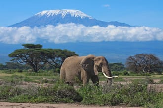 write the best tourism and travel articles and essays about east africa