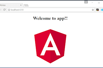 customize the angular website