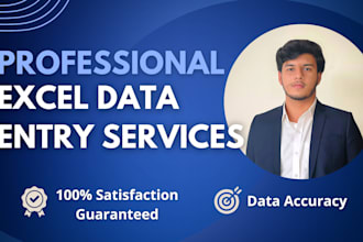 do excel data entry, web research, copy paste, data scraping