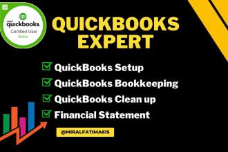 do setup, catch up, clean up, reconciliation and  bookkeeping in quickbooks