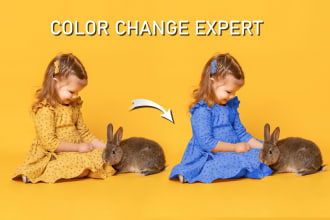 change color of image, product photo, logo, recolor anything with 20 revisions