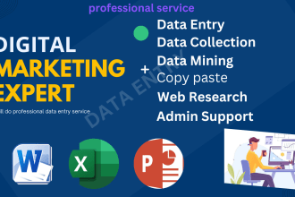 do data entry,combine, data set and data transfer service