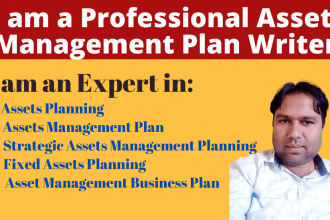 write 5 years assets management plan or strategic planning for your business