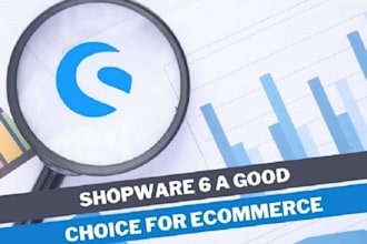 build a custom shopware 6 store, plugin, theme, and fix shopware developer bugs
