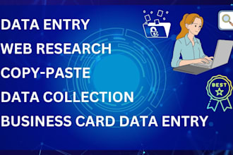 do fast data entry, excel typing, web research, collect data in 24 hours