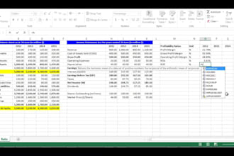 financial analysis in excel like ratio