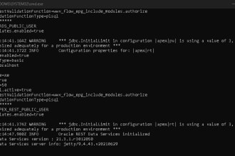 make apex apps backup plan and deployment plan automatically