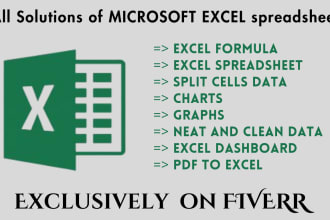 make ms excel tables, charts, dashboard and excel formula expert