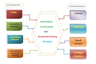do vulnerability assessment and penetration testing with report