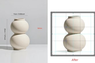 do images resize , crop images and background remove service
