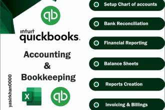 provide professional quickbooks online bookkeeping services