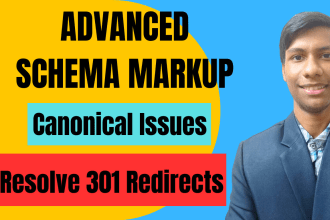 setup schema markup, canonical issues, and 301 redirects