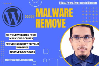 do wordpress malware removal and provide website security