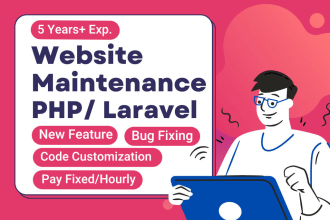 fix bugs, modify and develop php laravel websites and API