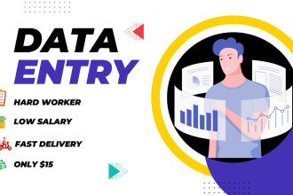 do data entry, edit, convert, input, arrange your data