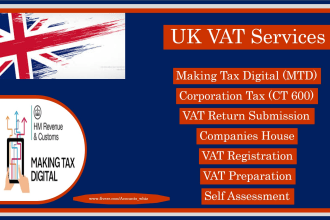 prepare and submit UK vat return, company accounts, self assessment