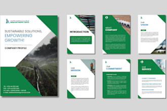 craft professional company profiles, ebooks, proposals
