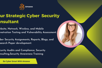 provide expert cyber security consultation, web application penetration testing