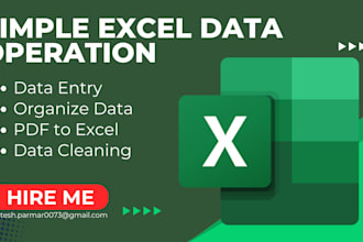 do excel data entry, data entry, PDF to excel data entry