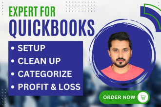 do quickbooks clean up, setup, accounting and bookkeeping with profit and loss