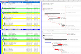 create expert project schedules in primavera, ms project or excel