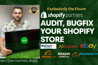professionally review, audit, bugfix your shopify dropshipping store