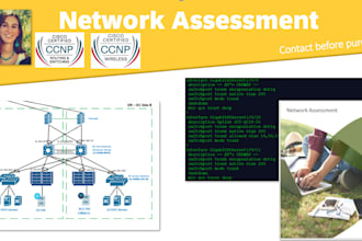 a network assessment and analyze