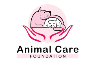 design awesome dog training, pet care logo in 14 hours
