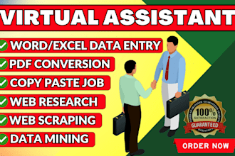 do data entry, word or excel retyping job