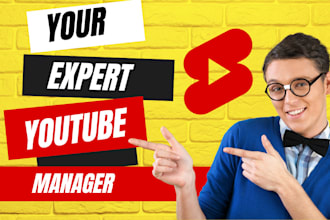 be your youtube manager and video SEO expert