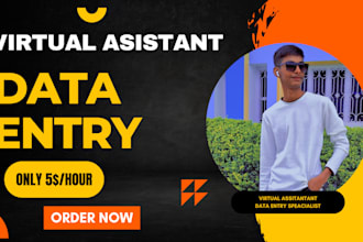 do data enrty work accurate,typing work,copy paste