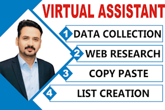 be top notch virtual assistant provide data entry