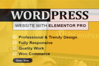 design and develop elementor wordpress website and fix issue