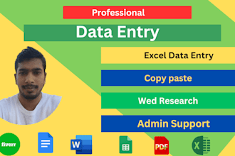 professional data entry and web research