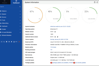 install and setup webmin and virtualmin in your vps server